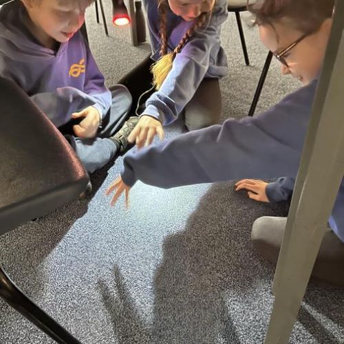 We had fun exploring shadows as part of our Light topic in Science