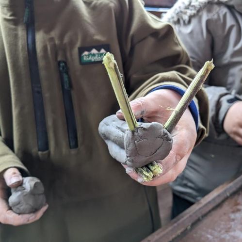 Outdoor Learning / Forest School Fridays